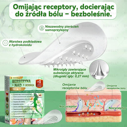 ✅ 🧑‍⚕️🏆   BSWELL® Nano mikroigłowy plaster wyszczuplający (Raz dziennie, efekty już po 28 dniach ✅ Wspiera odchudzanie, serce, cukrzycę, sen, jelita, stawy i więcej.✅